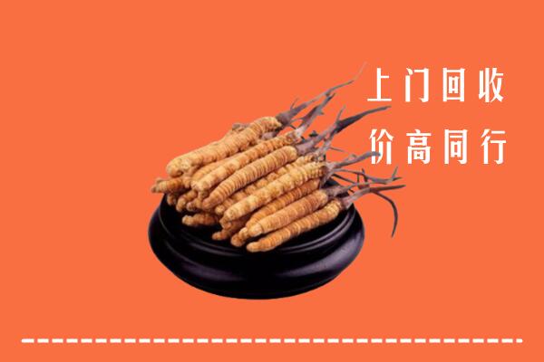 高价求购：泉州回收散虫草