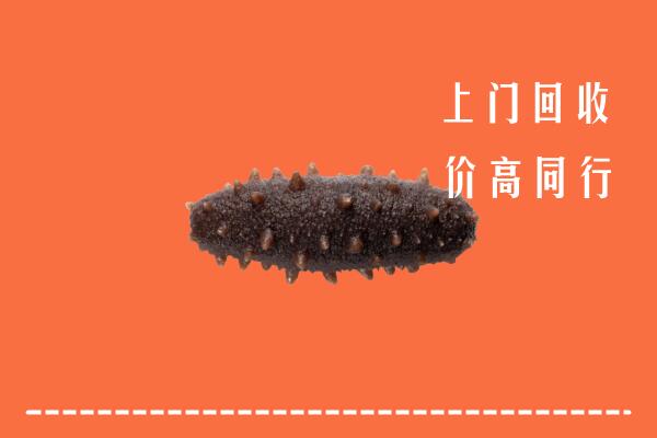 高价求购：泉州回收海参