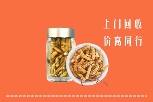 泉州回收冬虫夏草