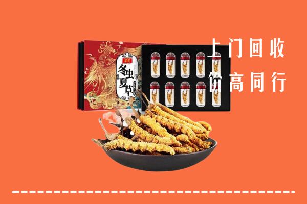 泉州回收虫草